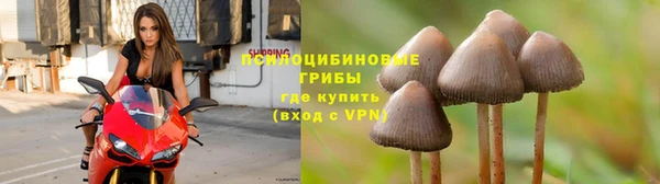 mdpv Баксан