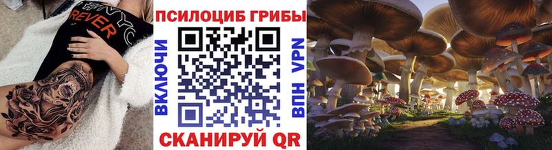 Галлюциногенные грибы MAGIC MUSHROOMS  хочу наркоту  Нерехта 